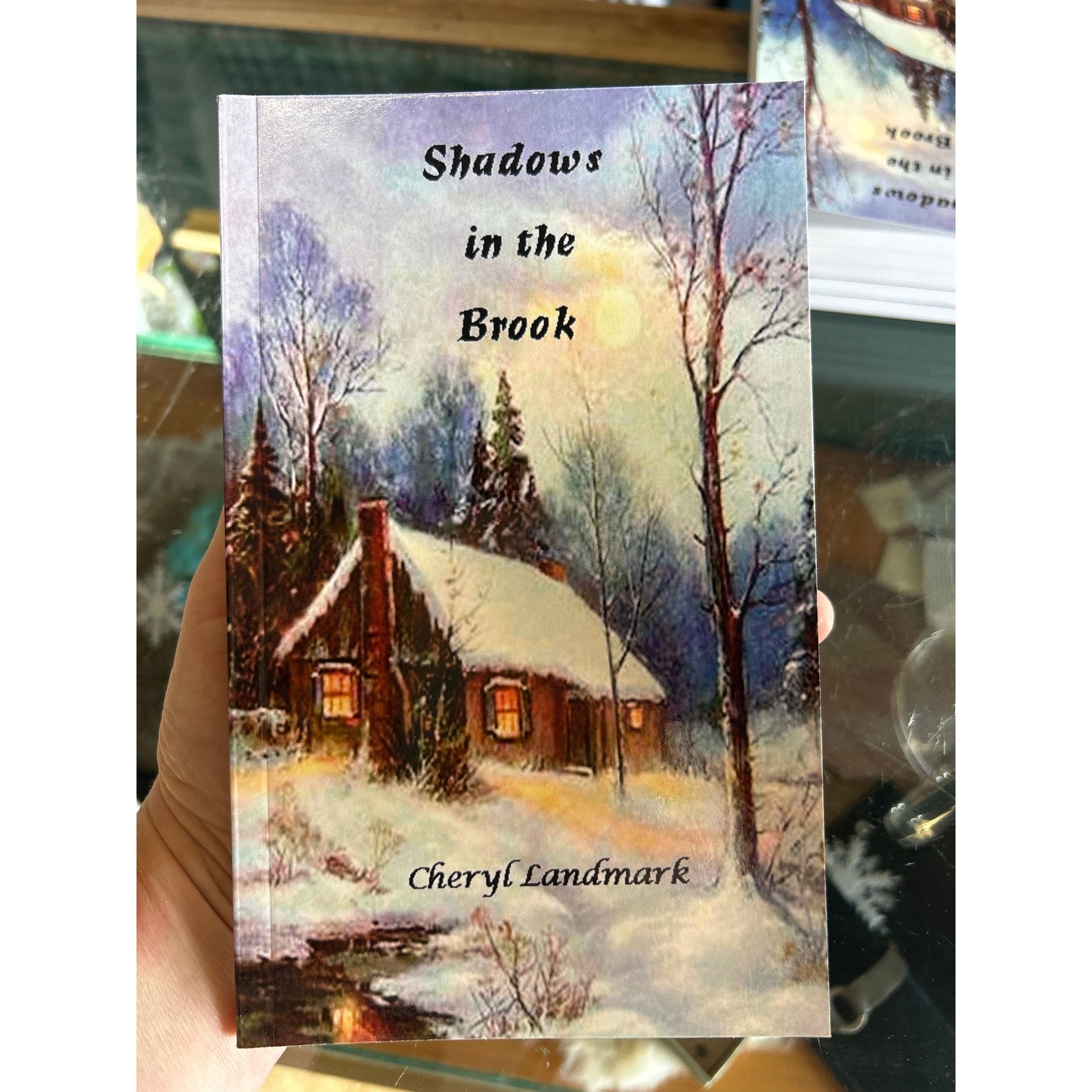 Shadows in the book - a novel by Cheryl Landmark