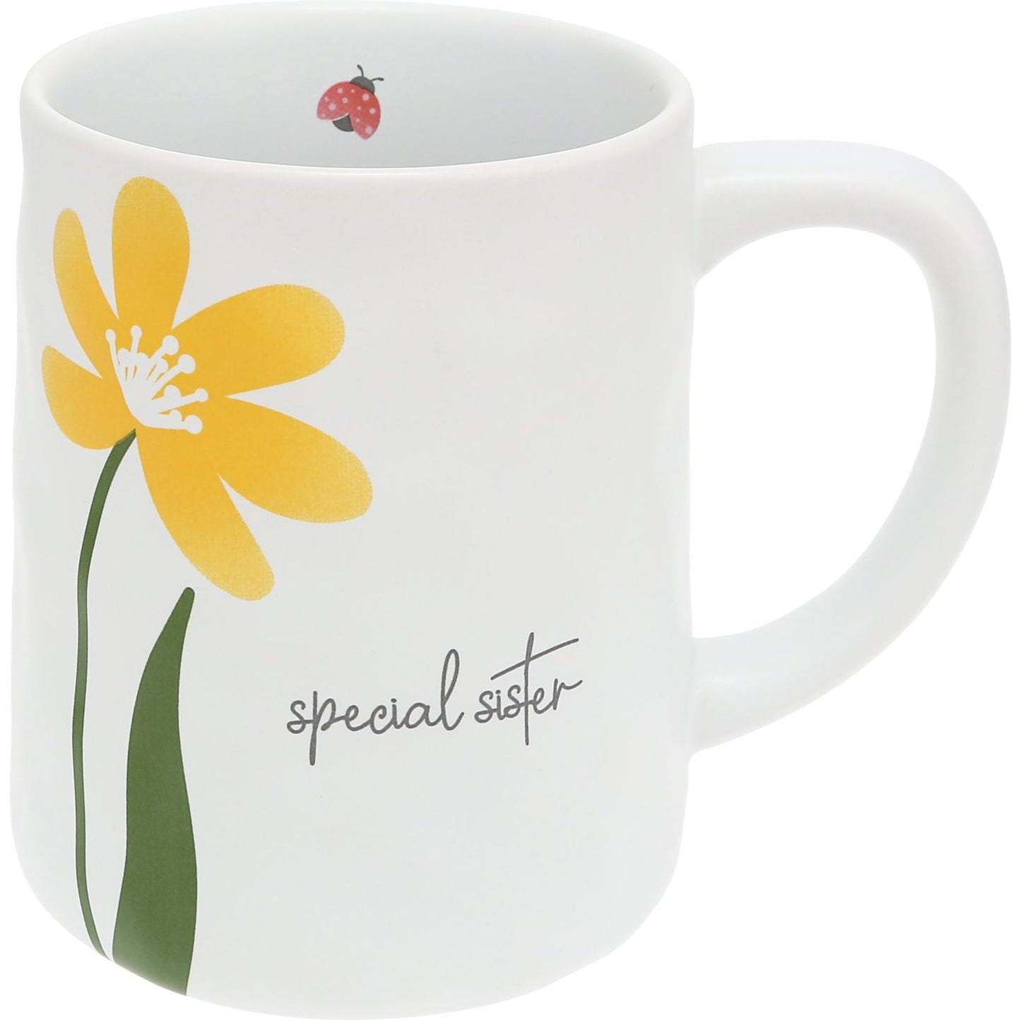 Special Sister Mug