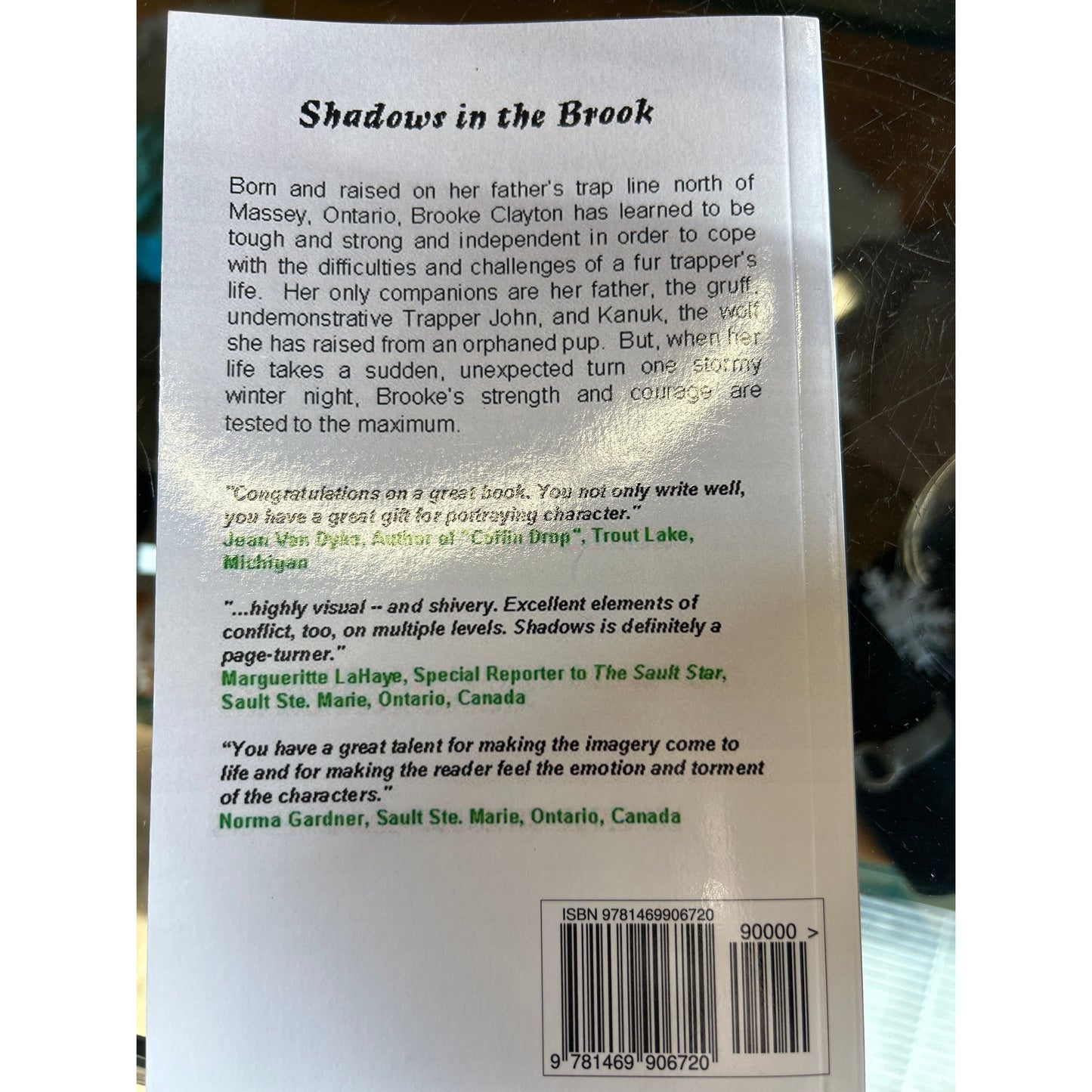 Shadows in the book - a novel by Cheryl Landmark