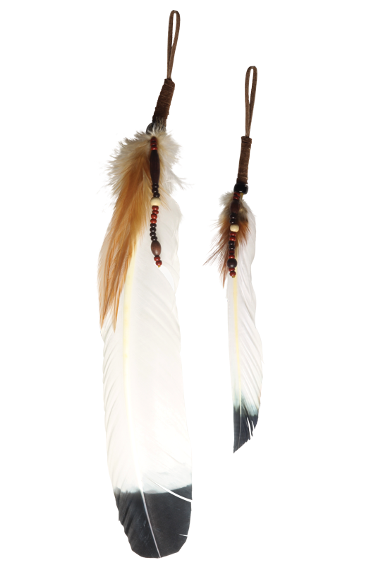 Smudging Feather