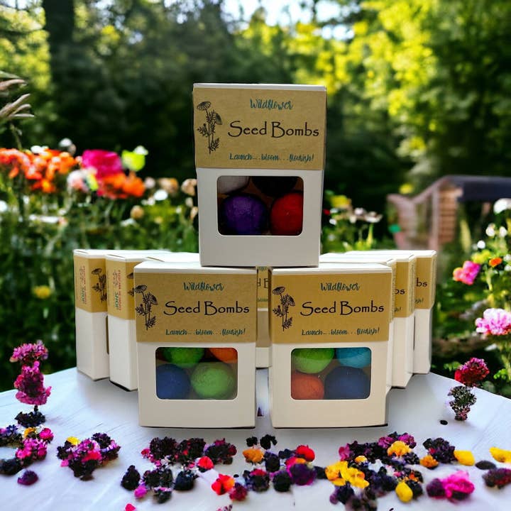 Seed Bombs - 6 Pack - Canadian Wildflowers