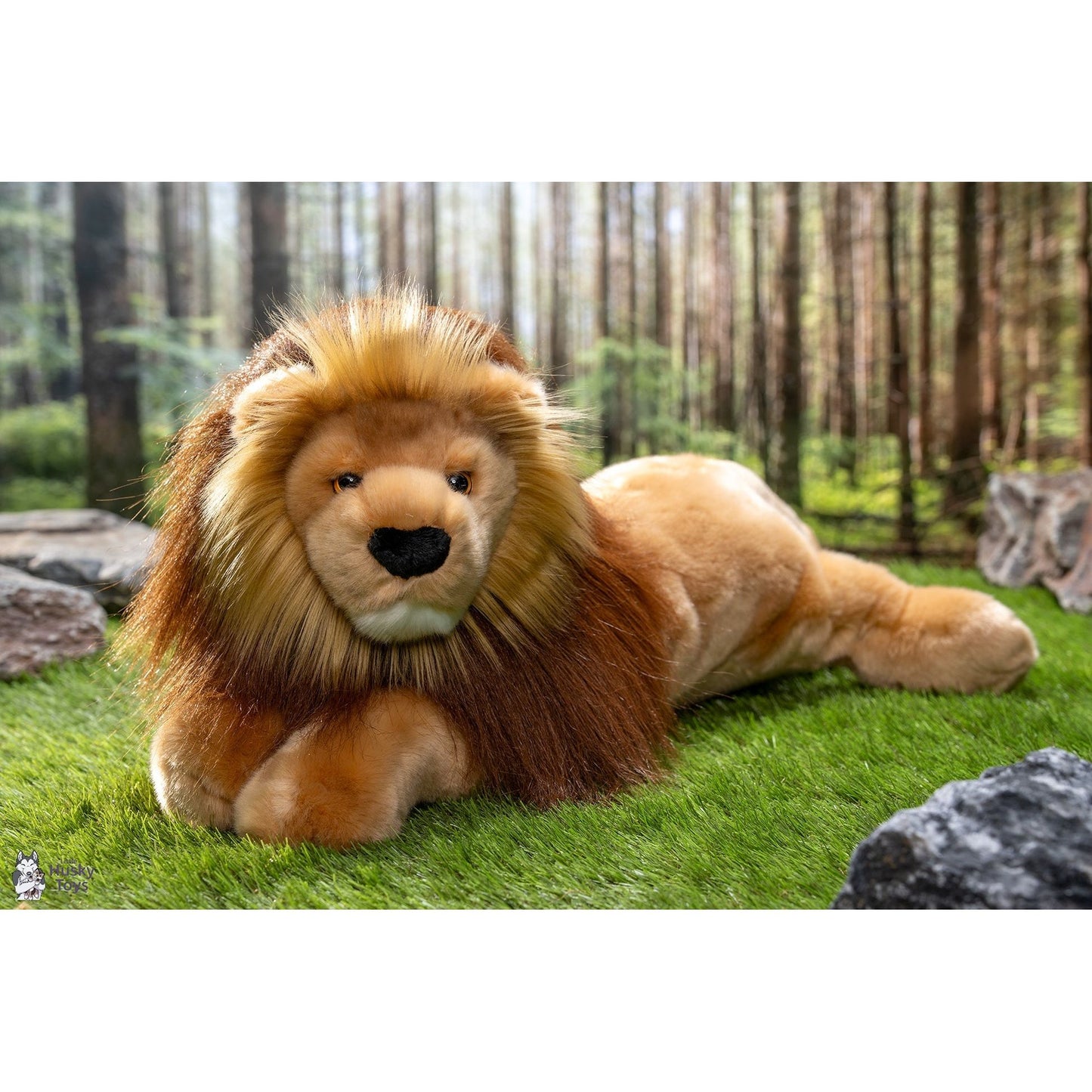 Zeus the Lion (#2456) by Douglas