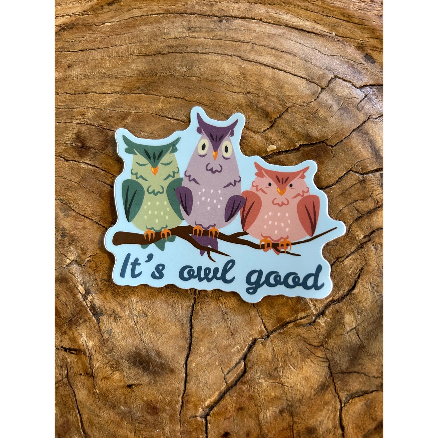 It’s owl hood Sticker