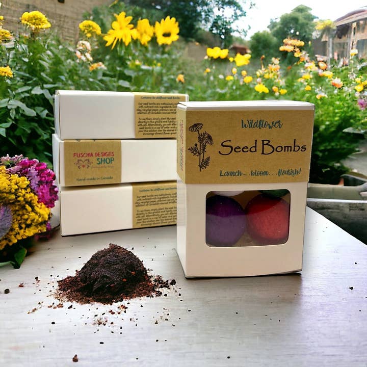 Seed Bombs - 6 Pack - Canadian Wildflowers