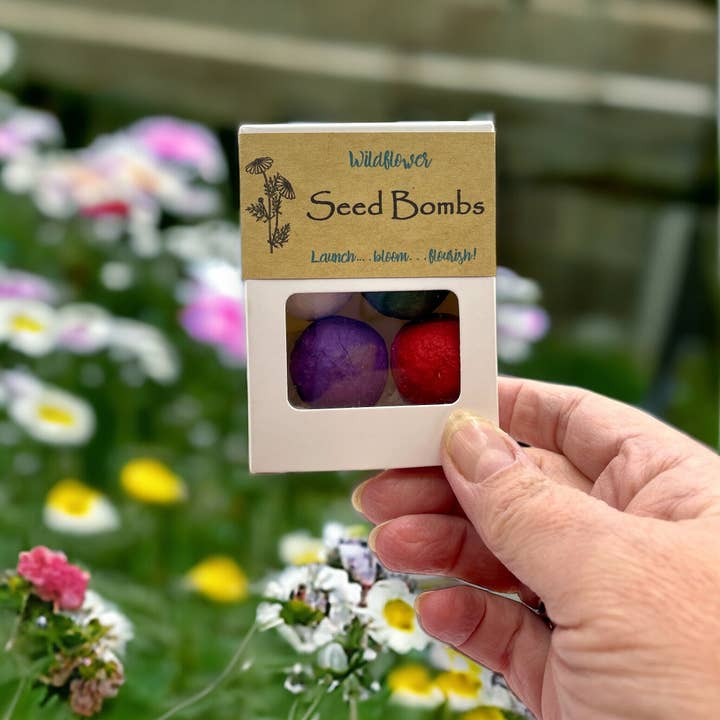 Seed Bombs - 6 Pack - Canadian Wildflowers