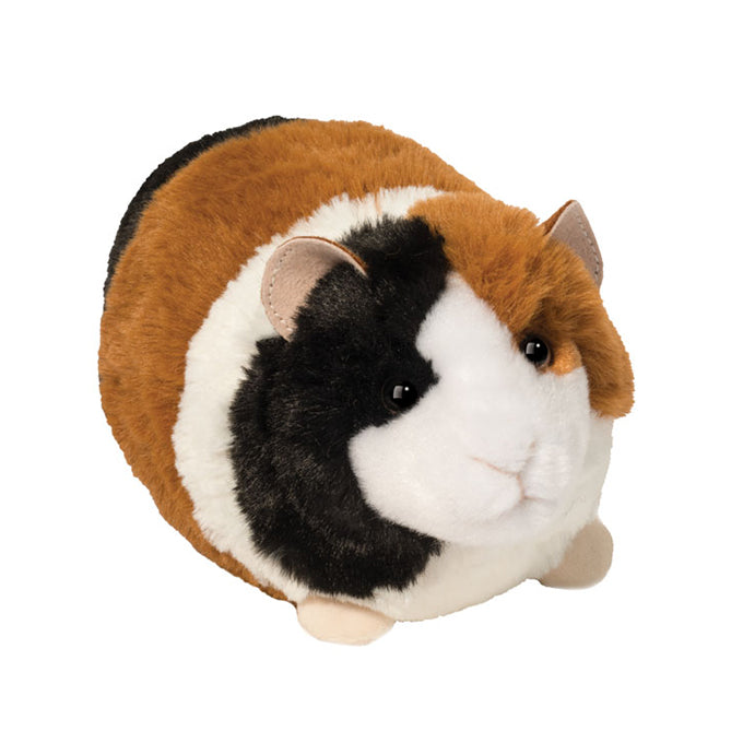 4156 Pippin Guinea Pig