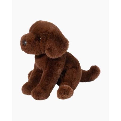 1916 Zoom Chocolate Lab