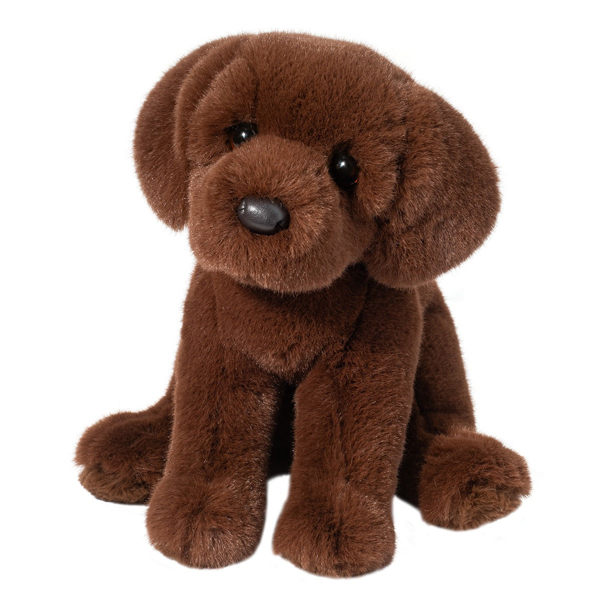 1916 Zoom Chocolate Lab