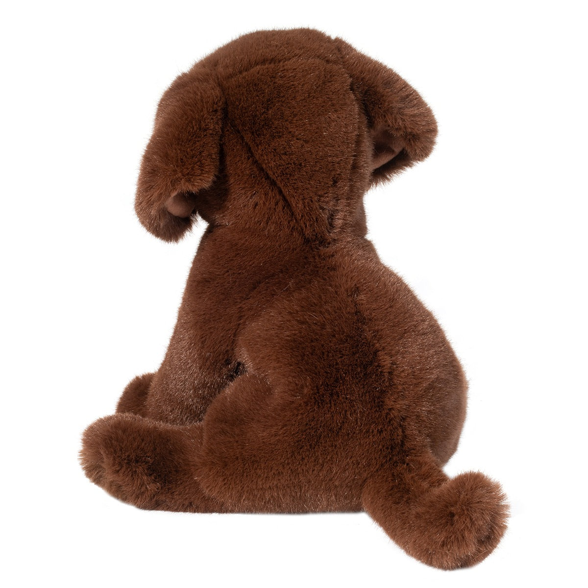 1916 Zoom Chocolate Lab