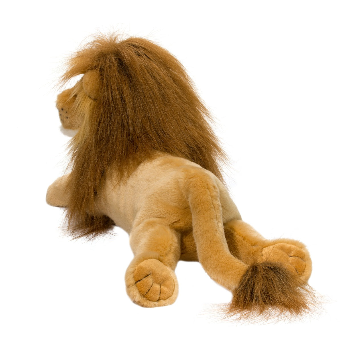 Zeus the Lion (#2456) by Douglas