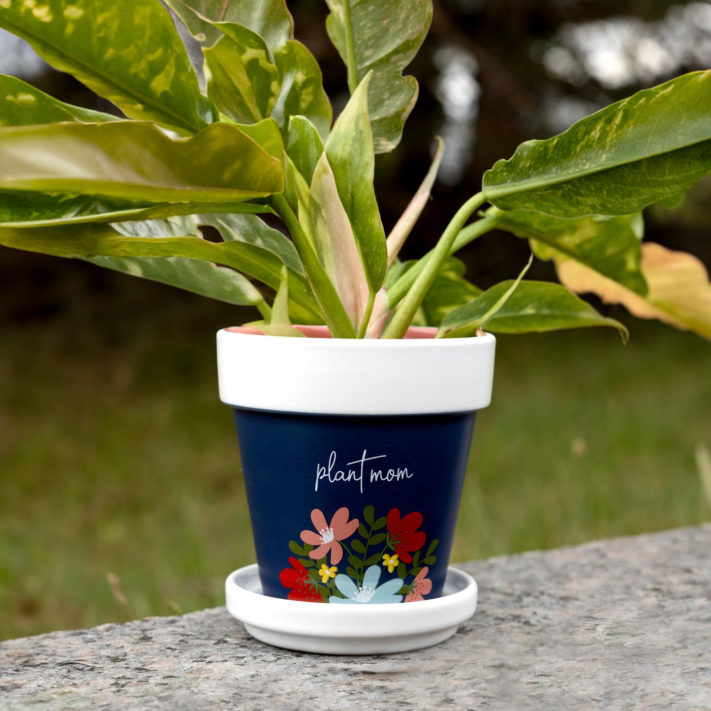 Plant Mom 4" Planter with Tray SKU: 42232