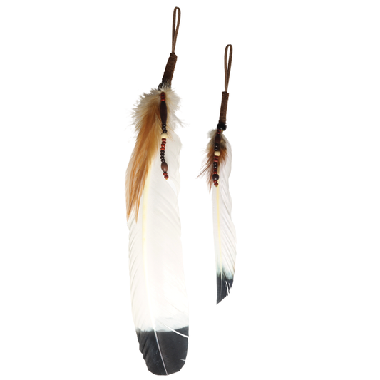 Smudging Feather