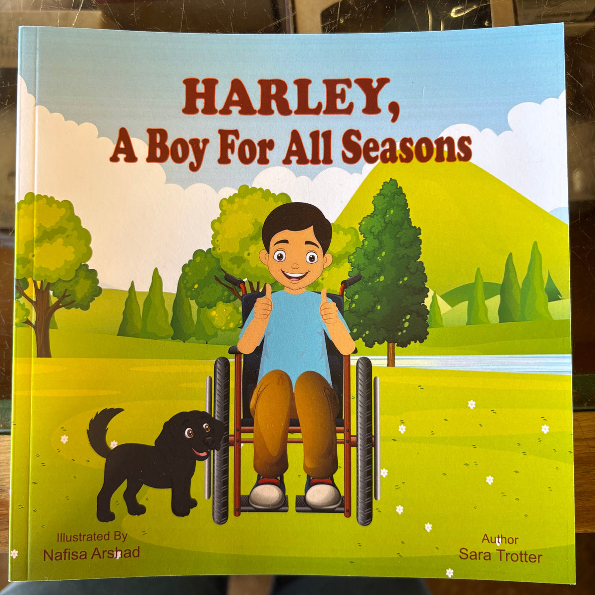 Harley, A Boy For All Seasons By Sara Trotter