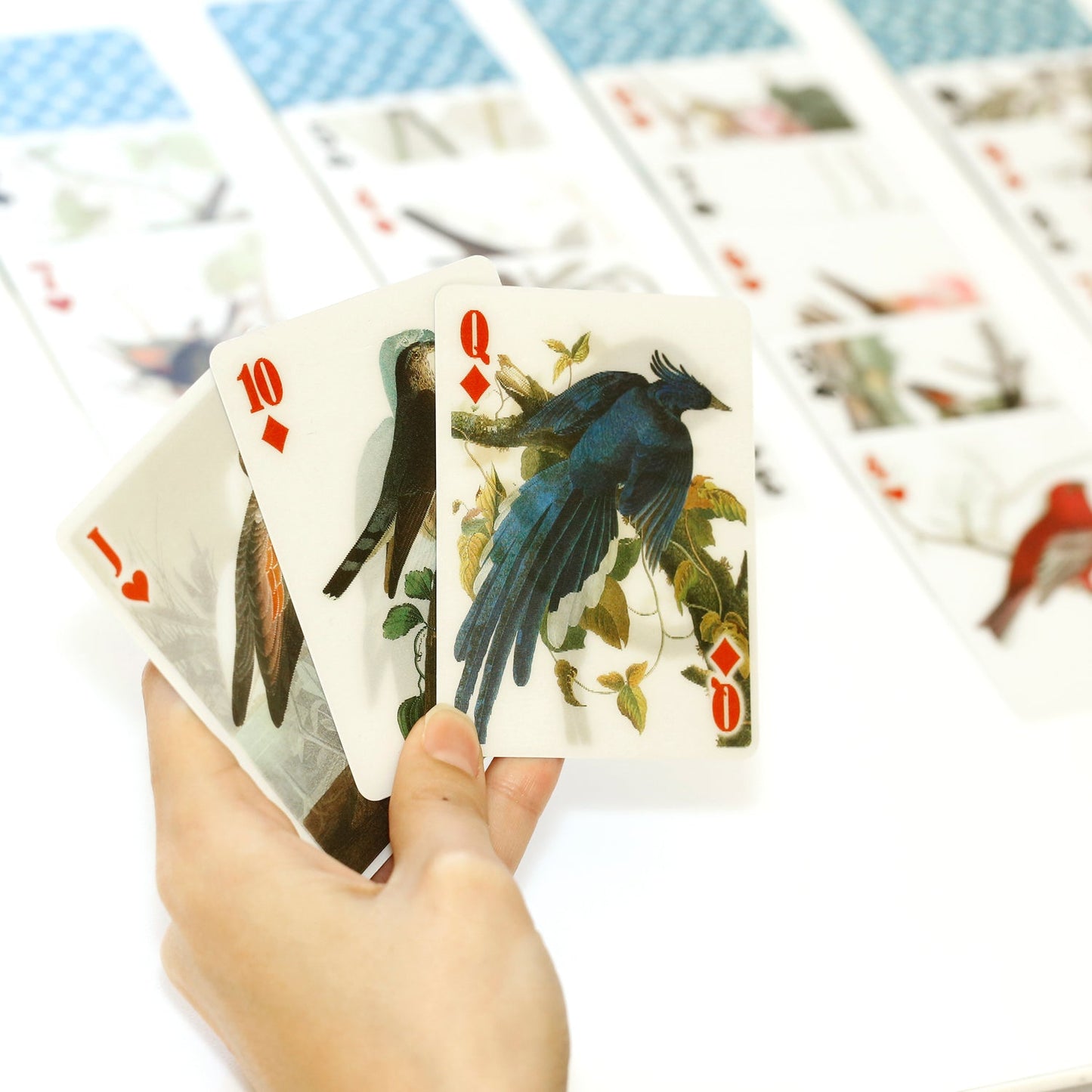 3-D Bird Cards